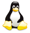 Novell Consulting Linux Consulting