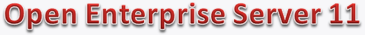 Novell Open Enterprise Server 11 Novell Open Enterprise Server 11